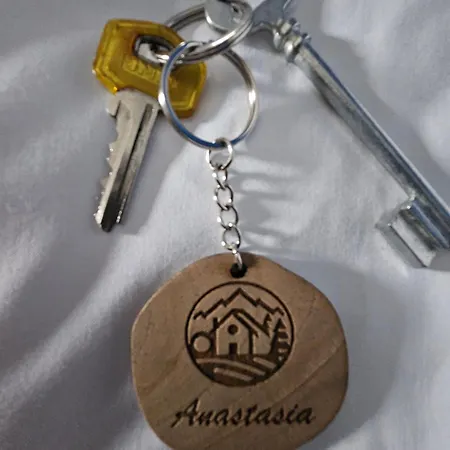 בית הארחה Datcha Anastasia 3*