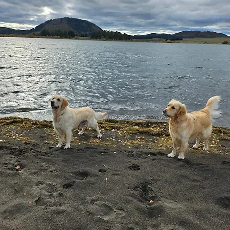 Pensionat Datcha Anastasia