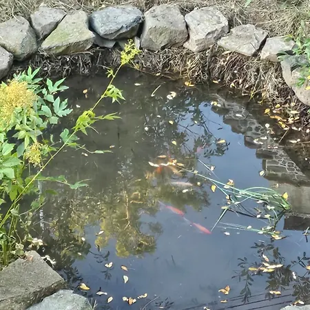 Pensionat Datcha Anastasia Besse-et-Saint-Anastaise