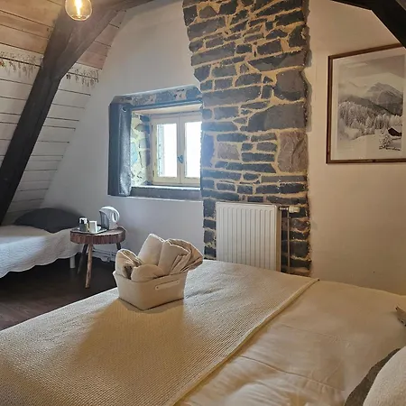 Datcha Anastasia 3* Besse-et-Saint-Anastaise