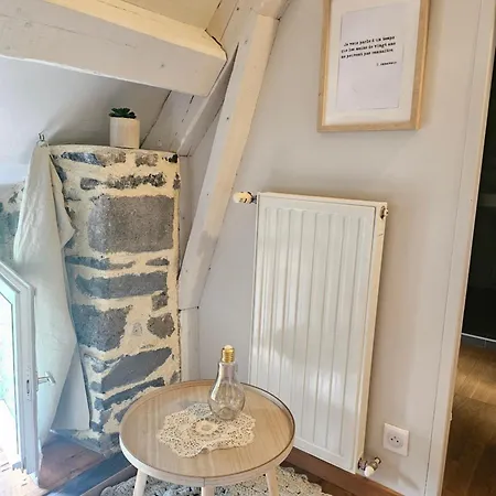 Datcha Anastasia 3* Besse-et-Saint-Anastaise