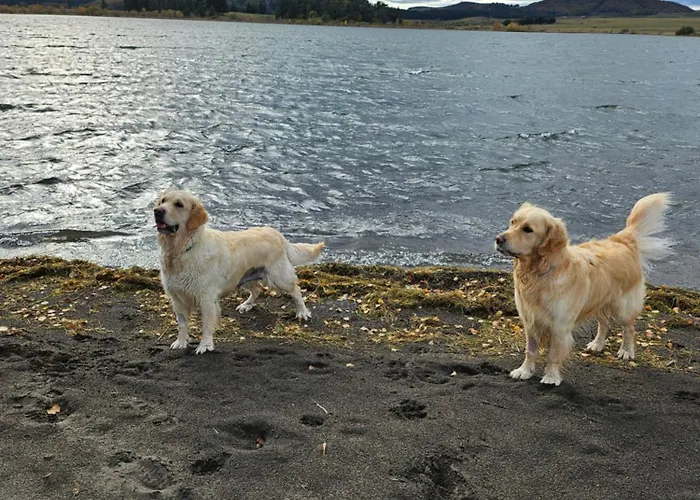 Gasthuis Datcha Anastasia