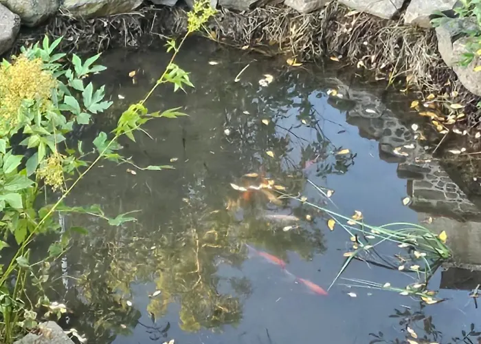 Gasthuis Datcha Anastasia Besse-et-Saint-Anastaise